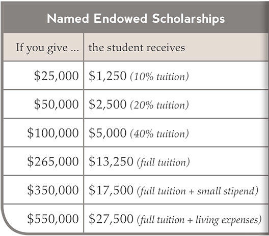 Named Endowment Scholarhips chart